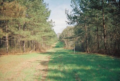 0 Andrew Chapel Rd unit 1273136, Brandon, MS 39042 - photo 2