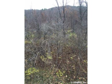 Land/Lot