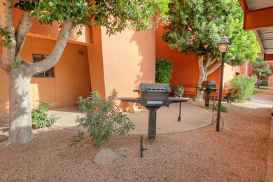 BBQ Area