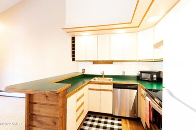 402_SnowLion_kitchen3