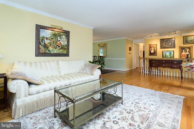 6506 Belleview Dr, Columbia, MD 21046 - photo 5