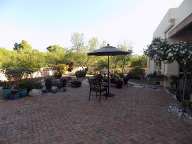 Back Yard (2)