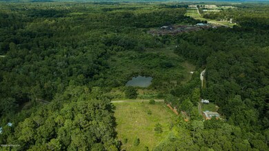 0 Spring Dr unit 1053118, Middleburg, FL 32068 - photo 6