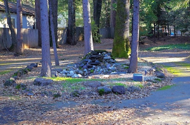 4141 Dunsmuir Ave, Dunsmuir, CA 96025 - photo 5