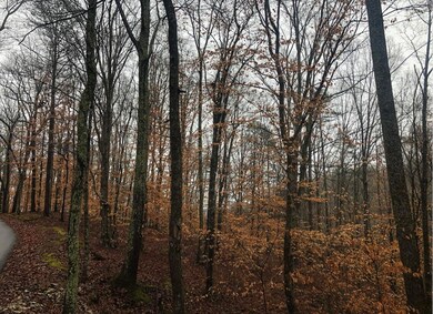 123 Harmon Rd, Somerset, KY 42501 - photo 7