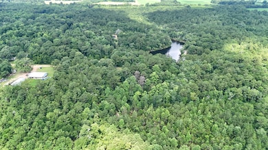 11375 Spring Lake Rd E, Chunchula, AL 36521 - photo 6