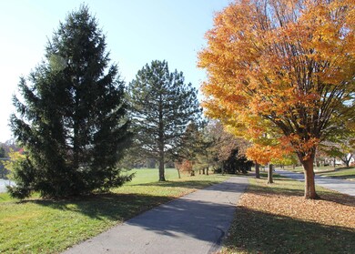 Fancyburg Park
