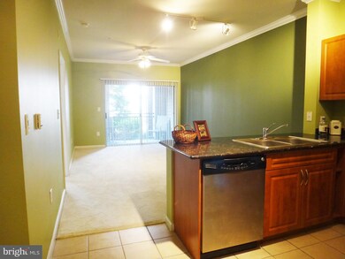 Bryson At Woodland Park unit 106, Herndon, VA 20171 - photo 2