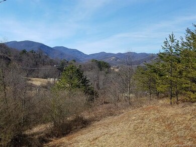 76 Hayes Cove Rd, Leicester, NC 28748 - photo 3