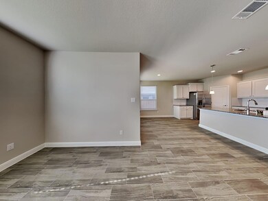 2357 Briscoe Ranch Dr, Hudson Oaks, TX 76087 - photo 4