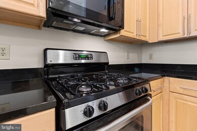 Silverton Condominiums, Silver Spring, MD 20910 - photo 7