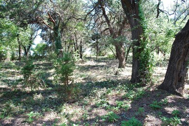 7085 Cedar Valley Dr, Whitney, TX 76692 - photo 2