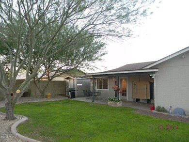Back yard view