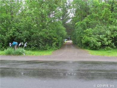 Yard. View from road. Very Private driveway