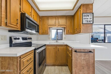 977 S Oxide Dr unit 977, Apache Junction, AZ 85119 - photo 6