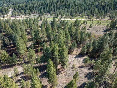 Lot 27 Trail Creek Ct, Placerville, ID 83666 - photo 3