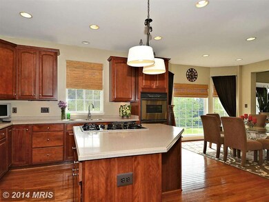 25754 S Village Dr, Chantilly, VA 20152 - photo 7