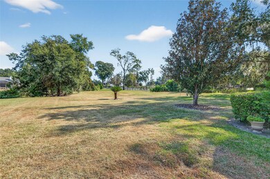 3533 Sam Allen Oaks Cir, Plant City, FL 33565 - photo 7