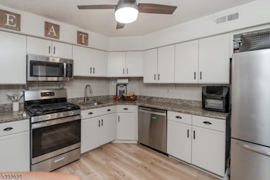 31 Drake Ln, Ledgewood, NJ 07852 - photo 6