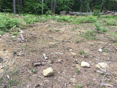 Lot 2 White Tail Ridge Rd, Bridgton, ME 04009 - photo 3