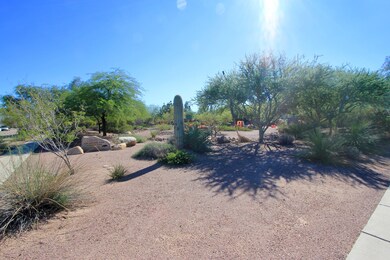 1215 E 14th St, Tucson, AZ 85719 - photo 5