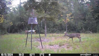 Parcel A&B Sunburst Dr, Crestview, FL 32539 - photo 5