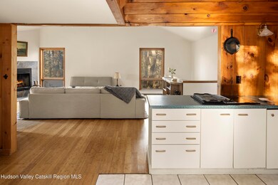 92 Cunningham Hill Rd, Canaan, NY 12029 - photo 6