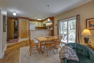 355 Village Cir unit V4, Killington, VT 05751 - photo 6