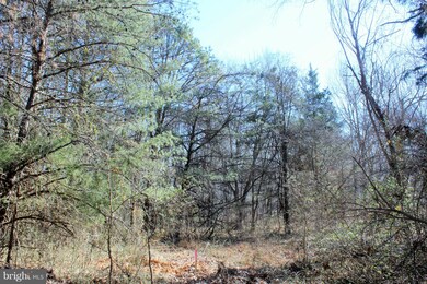 5721 Turner Rd, Broad Run, VA 20137 - photo 3