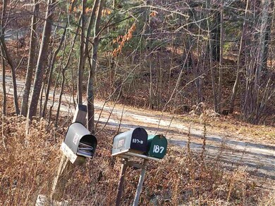 Watch for these mailboxes on main street