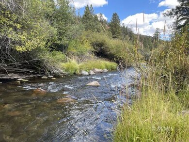 Mammoth Creek on property