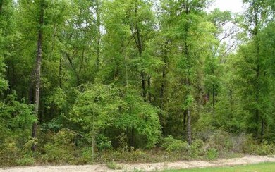 LOT17 Mandiba Dr, Lake City, FL 32024 - photo 2