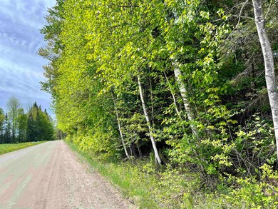 00 Station Rd, Sutton, VT 05867 - photo 5