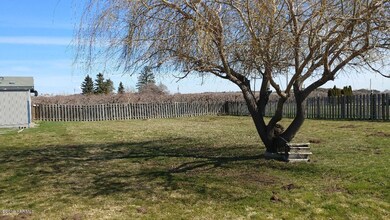 great back yard