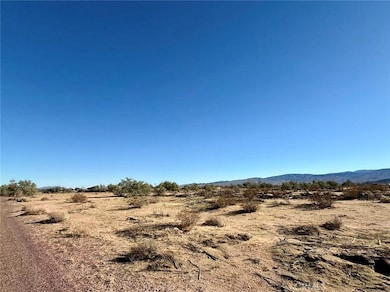 32467 Lakeview Ave, Newberry Springs, CA 92365 - photo 2