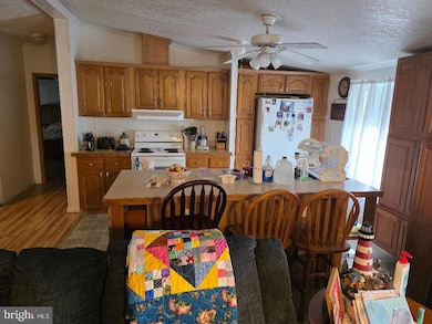 153 Sherwood Ave, Saint Thomas, PA 17252 - photo 6