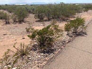 1740 Las Lomas Ct, Alamogordo, NM 88310 - photo 3