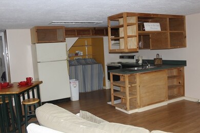 744 Tahoe Trail unit Dock In Place, Martin, GA 30557 - photo 4