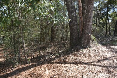 Lot 1 & 2 Blk G Oak Lake Dr, Level Plains, AL 36330 - photo 7