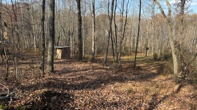 527 Chestnut Grove Cemetery Rd, Bonnieville, KY 42713 - photo 4