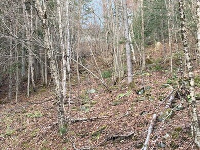 52 Burns Rd, Pittsburg, NH 03592 - photo 3