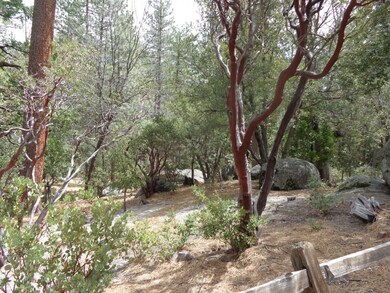 Cedar Glen