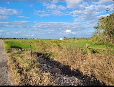 169 Timberline Dr, Bay City, TX 77414 - photo 3