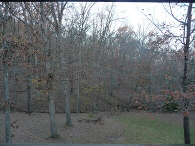 521 Canyon Forest Cir, Kimberling City, MO 65686 - photo 5