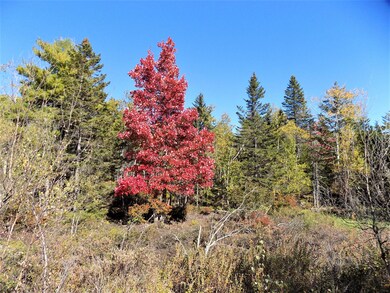 Early fall photo front of lot near road