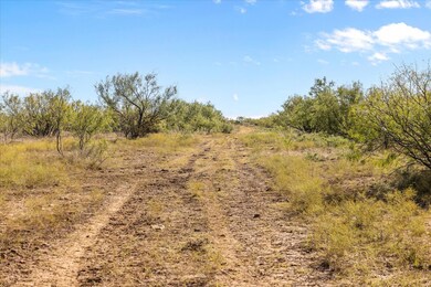 Berry Dairy Rd, Bryson, TX 76427 - photo 4