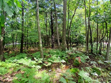 4756 N Ridge Rd, Mears, MI 49436 - photo 3