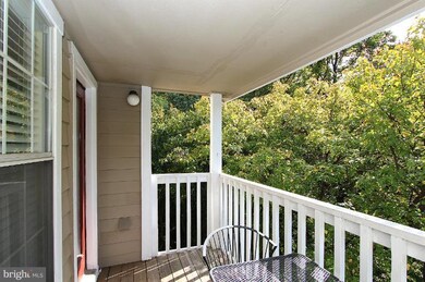 10811 Hampton Mill Terrace unit 210, Rockville, MD 20852 - photo 3