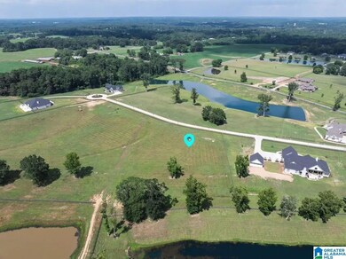 Lot 2 County Road 706, Cullman, AL 35055 - photo 7