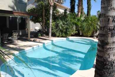 Sparkling Pool
